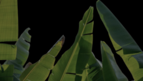 Commitment to Sustainable, Purpose-Driven Impact